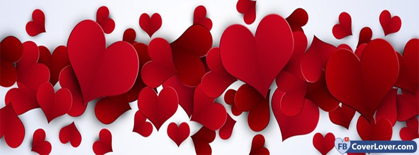 Valentine Day Roses